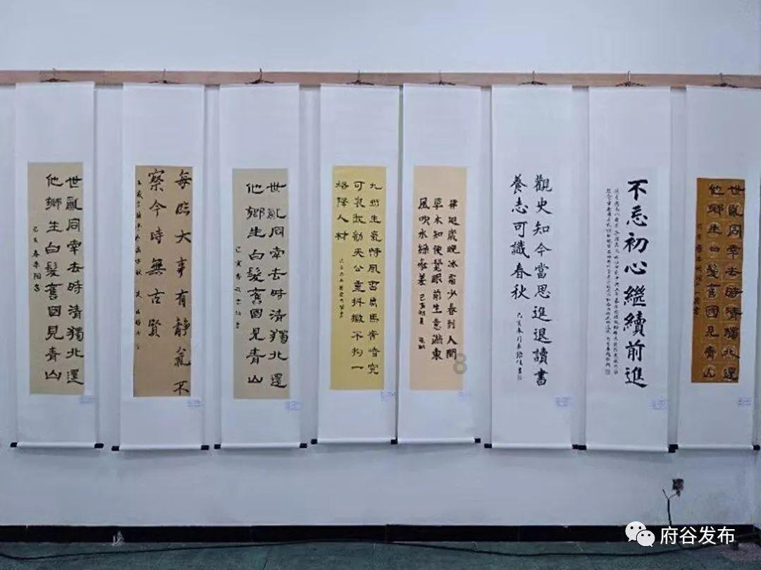 88影视